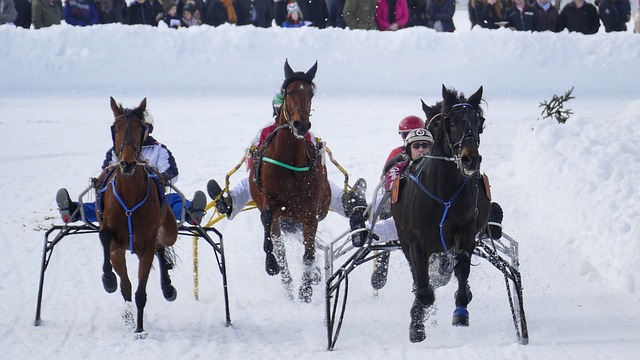 的发展历程 的发展历程