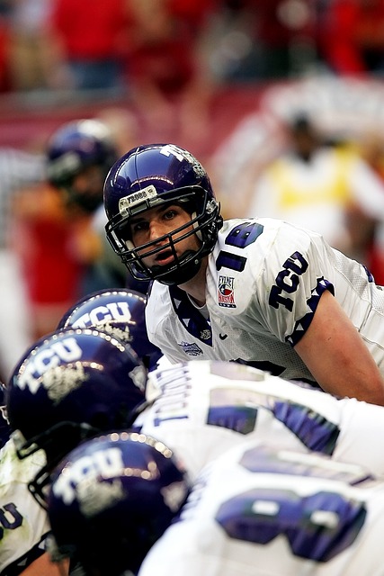 帕尔默的实 帕尔默的实