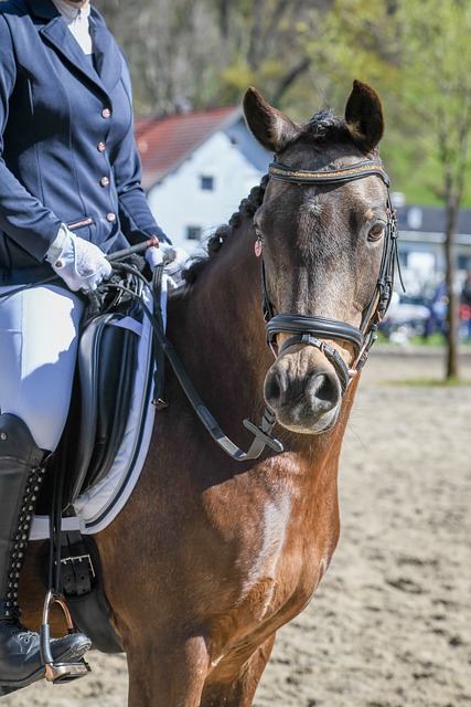 善的地方 善的地方