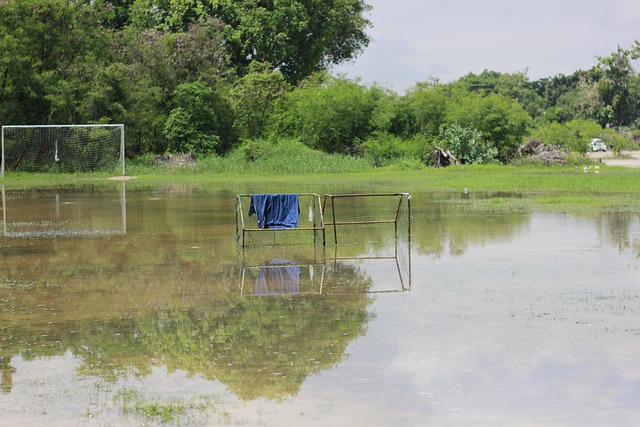 斯图尔特虽 斯图尔特虽