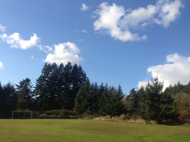 除了赛场上
